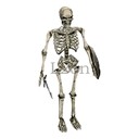 Imagem de Misery Skeleton