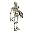 Imagem de Skeleton Tracker Leader
