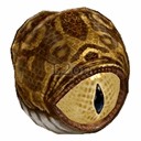 Imagem de Monster Eye Watcher