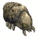 Imagem de Ant Larva