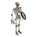 Imagem de Skeleton Lord