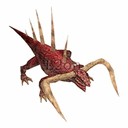 Imagem de Salamander Elder