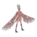 Imagem de Harpy