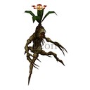 Imagem de Mandragora Sapling