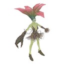Imagem de Mandragora Blossom