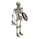 Imagem de Skeleton Raider