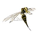 Imagem de Bloody Bee