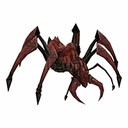 Imagem de Giant Crimson Ant