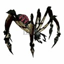 Imagem de Marsh Spider