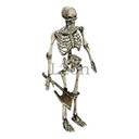 Imagem de Skeleton Axeman