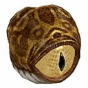 Imagem de Monster Eye Gazer