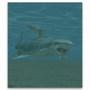 Imagem de Great White Shark