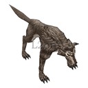 Imagem de Black Timber Wolf
