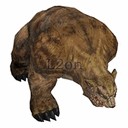 Imagem de Grizzly Bear