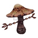 Imagem de Mountain Fungus