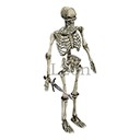 Imagem de Akaste Bone Soldier