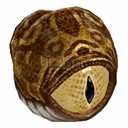 Imagem de Evil Eye Patroller