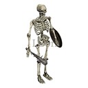 Imagem de Skeleton Infantryman