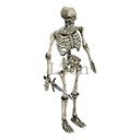 Imagem de Skeleton Hunter