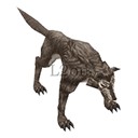 Imagem de Gray Wolf