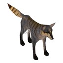 Imagem de Longtail Keltir