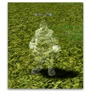 Imagem de Forest of Mirrors Ghost