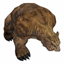 Imagem de Hatu Brown Bear