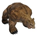 Imagem de Plain Grizzly