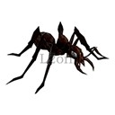 Imagem de Cave Ant