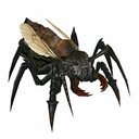 Imagem de Cave Noble Ant