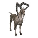 Imagem de Antelope