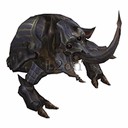Imagem de Soldier Scarab