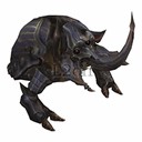 Imagem de Soldier Scarab
