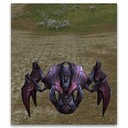 Imagem de Jamadar Beetle