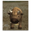 Imagem de Alpine Buffalo