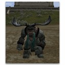 Imagem de Ragna Orc Healer