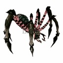 Imagem de Spelunking Spider