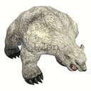 Imagem de Ursus Cub