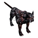 Imagem de Grotto Leopard