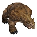 Imagem de Grotto Grizzly
