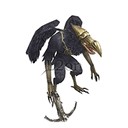 Imagem de Shady Muertos Archer