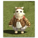 Imagem de Leader of Cat Gang