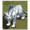Imagem de Tiger King Karuta