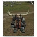 Imagem de Dark Shaman Varangka