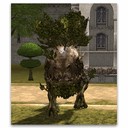 Imagem de Ranger Karankawa