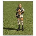 Imagem de Guard Captain