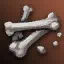 Animal Bone